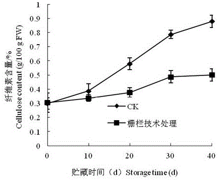 Preserving method for processing unsheathed phyllostachys heterocycla var. pubescens by utilizing fence technology