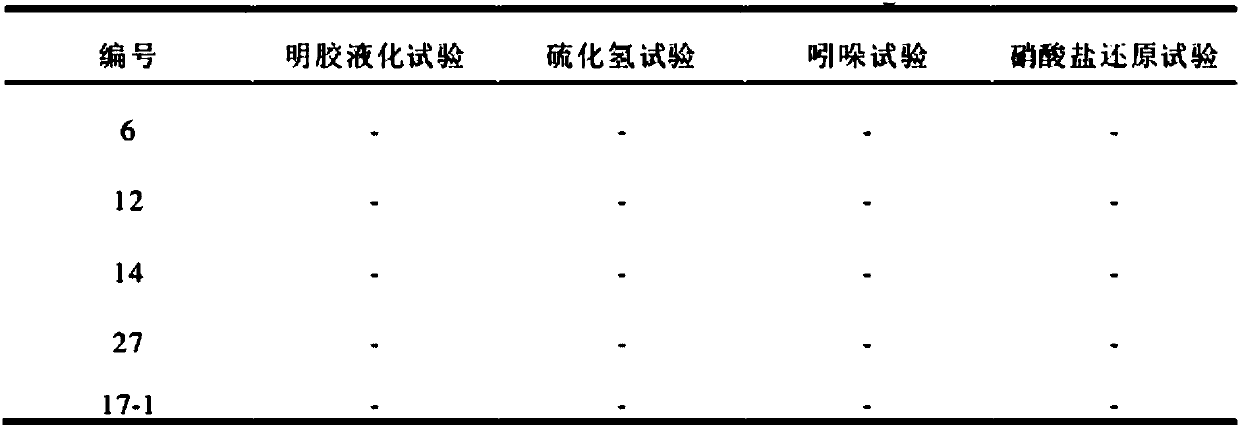 Micro-ecological regulator for necrotizing enterocolitis of piglets, preparation method thereof and feed containing regulator