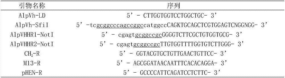 Anti-c-Myc label single domain heavy chain antibody