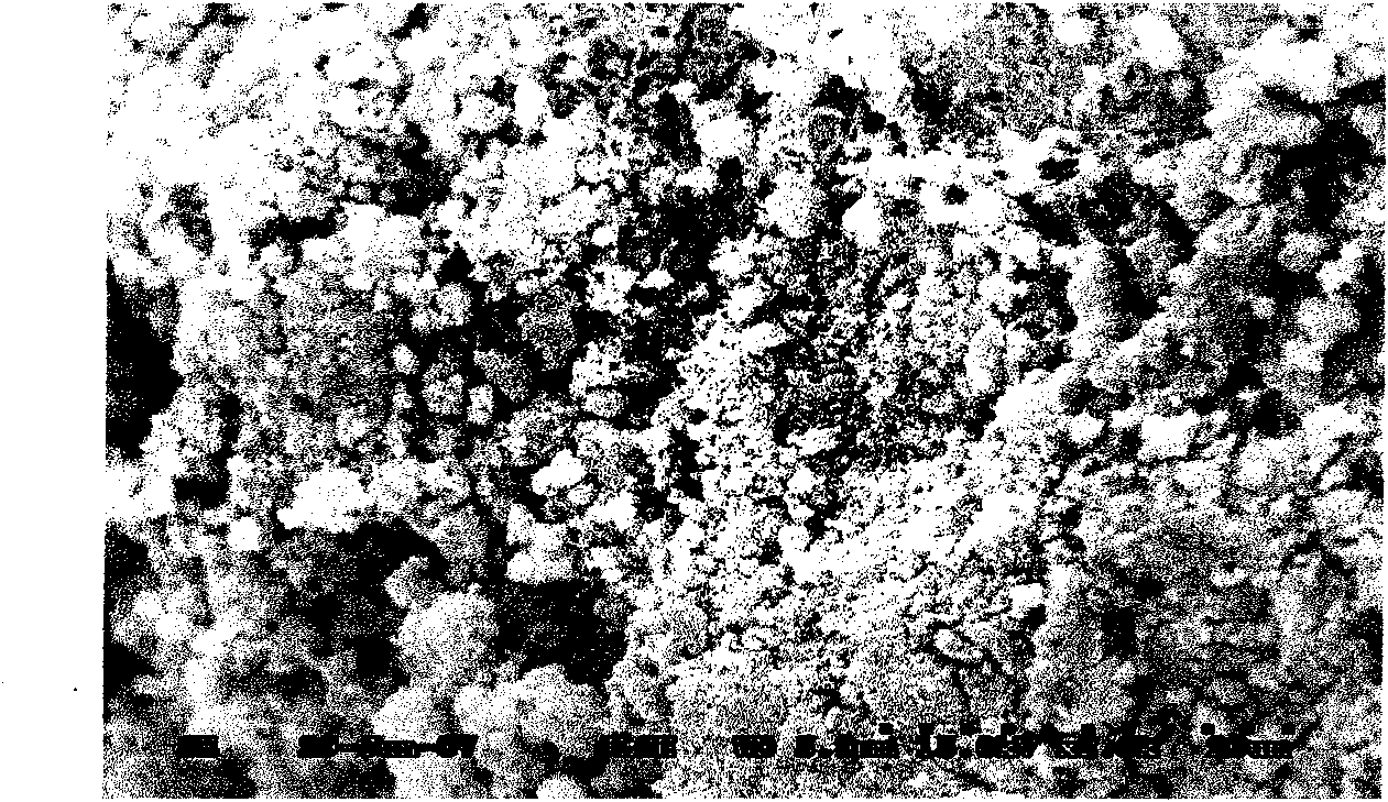 Wastewater treatment composite filler containing zeolite and pulverized fuel ash