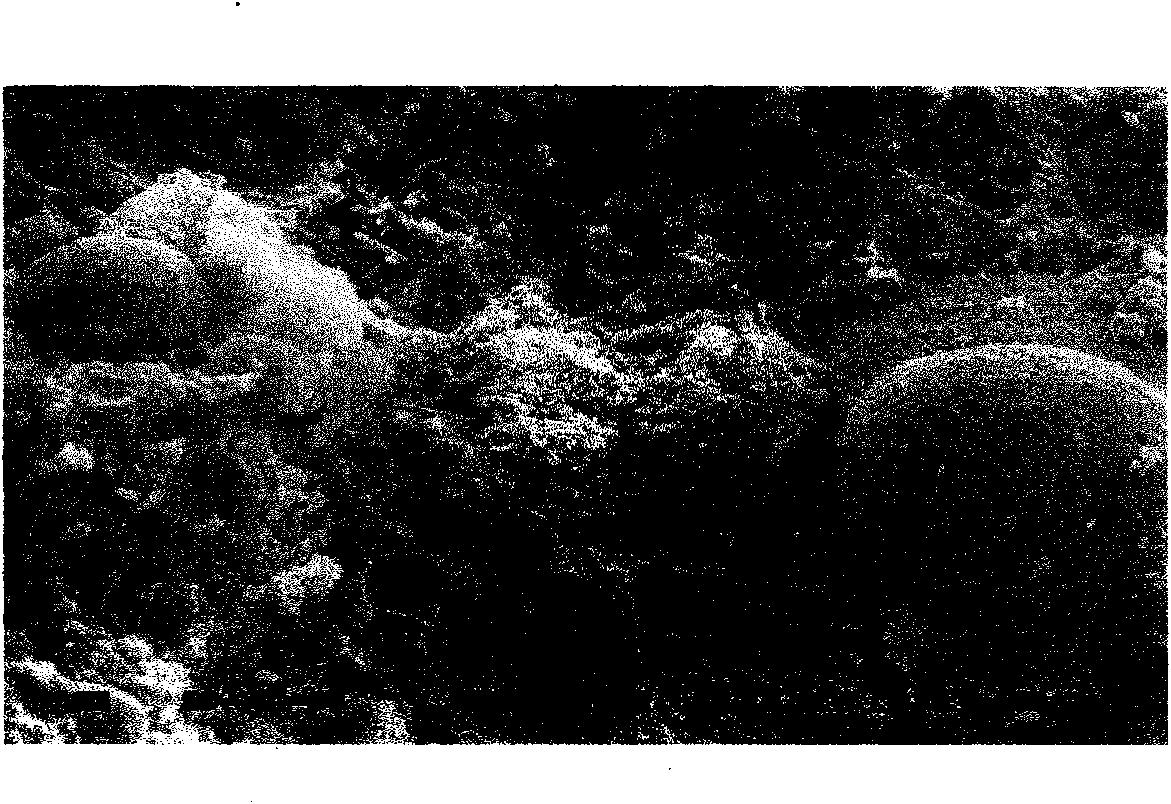 Wastewater treatment composite filler containing zeolite and pulverized fuel ash