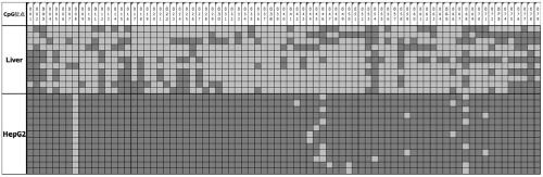 Tumor marker STAMP-EP5 based on methylation modification