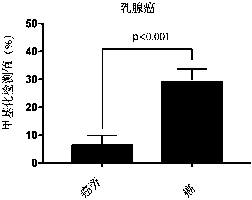 Tumor marker STAMP-EP5 based on methylation modification