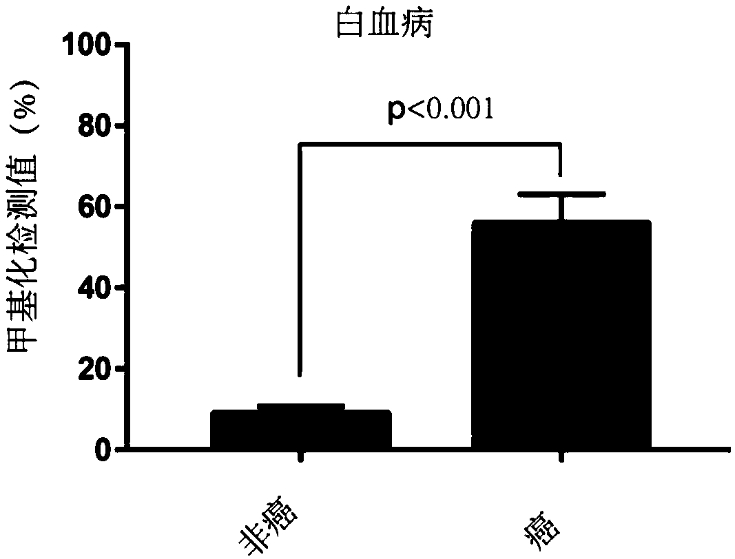 Tumor marker STAMP-EP5 based on methylation modification