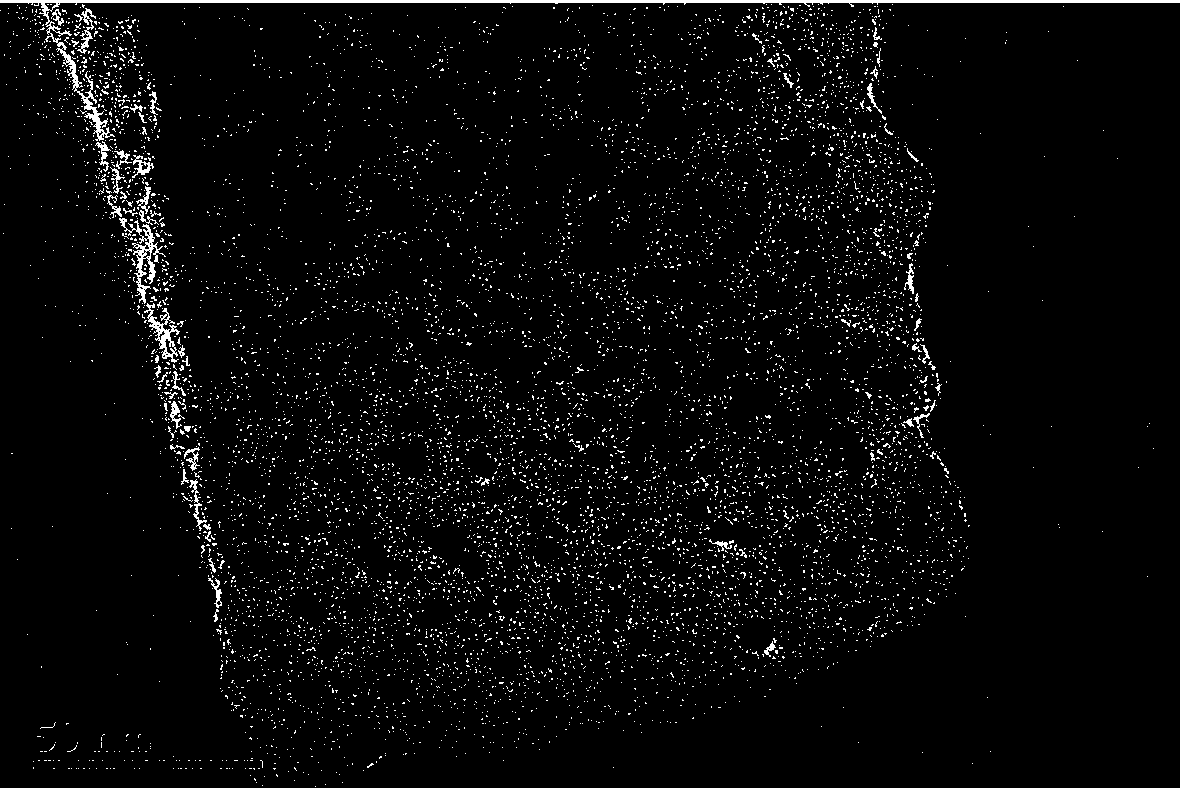 Metal loaded biomass semicoke catalyst and preparation method thereof