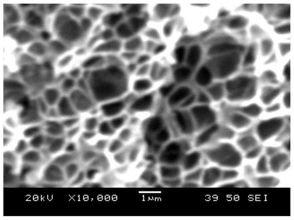 Integrated broadband high-wave-transmissivity tough polyolefin microporous foam material and preparation method thereof