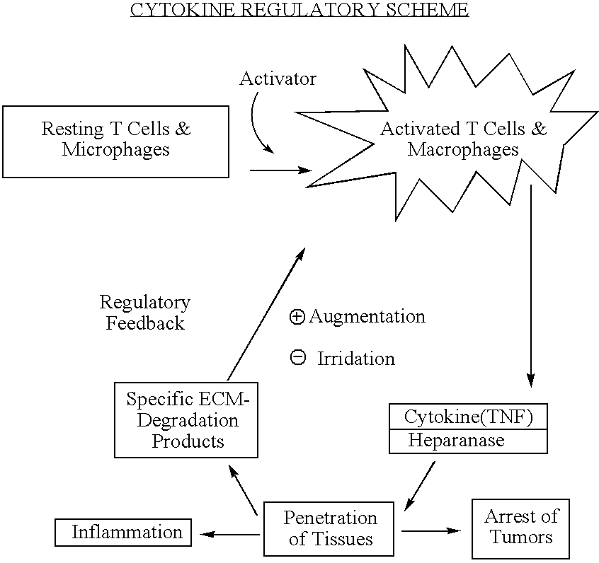 Compositions for the regulation of cytokine activity