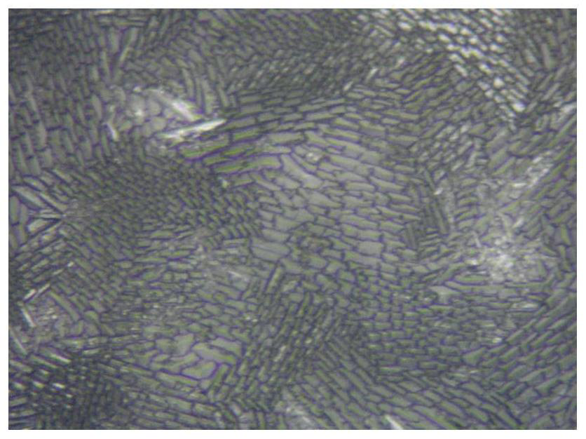 Frosting liquid medicine and process for directionally arranging crystal lattices on etched surface of high-alumina-silica glass