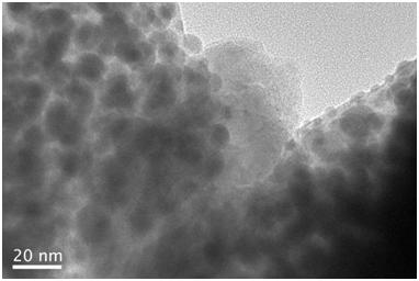 A kind of preparation method of cobalt phosphide modified molybdenum doped bismuth vanadate photoelectrode