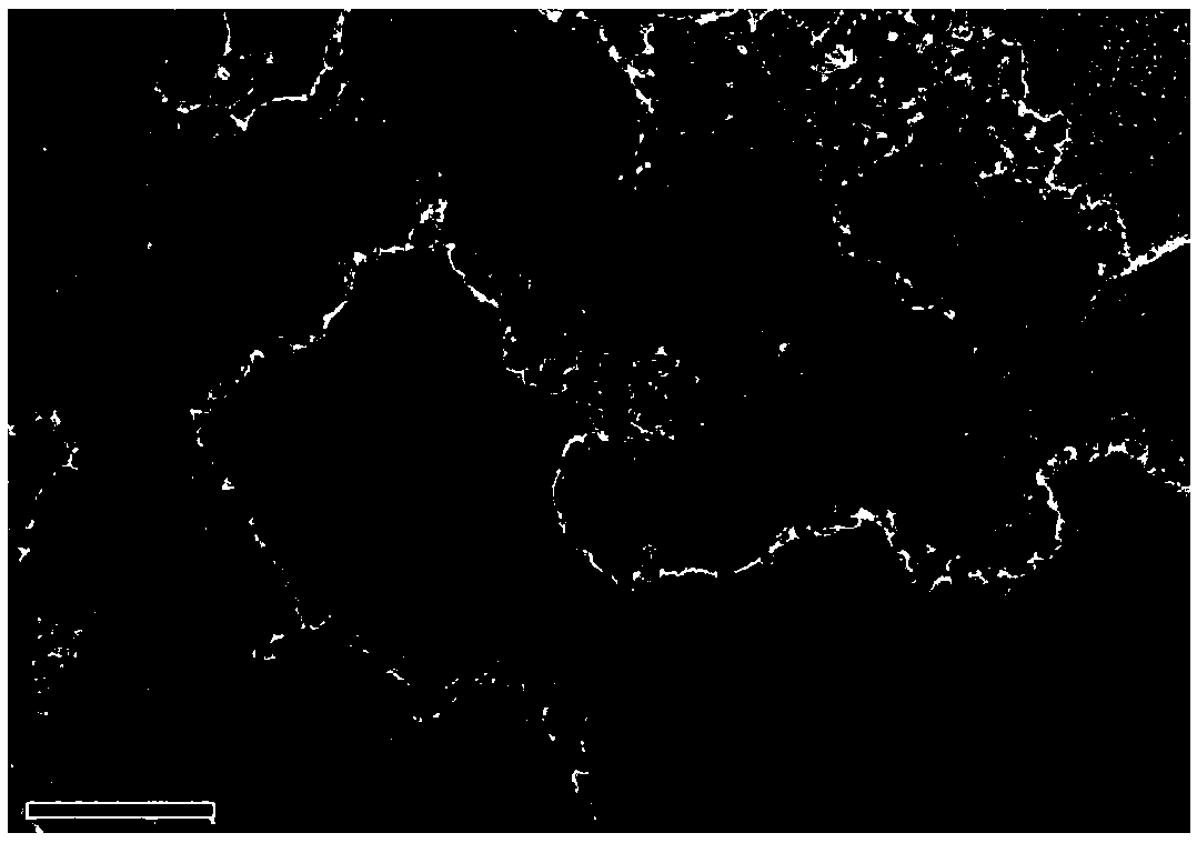 Titanium dioxide-carbon composite carrier supported platinum electrocatalyst and preparation method thereof