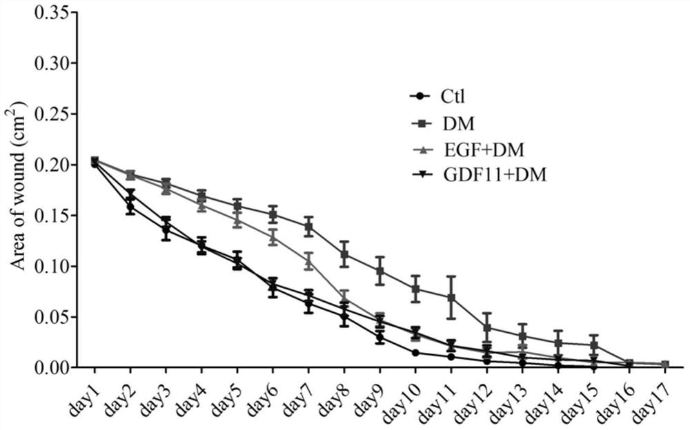 Application of Growth Differentiation Factor-11 in Promoting Diabetic Wound Healing