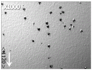 A semiconductor ultraviolet light source device