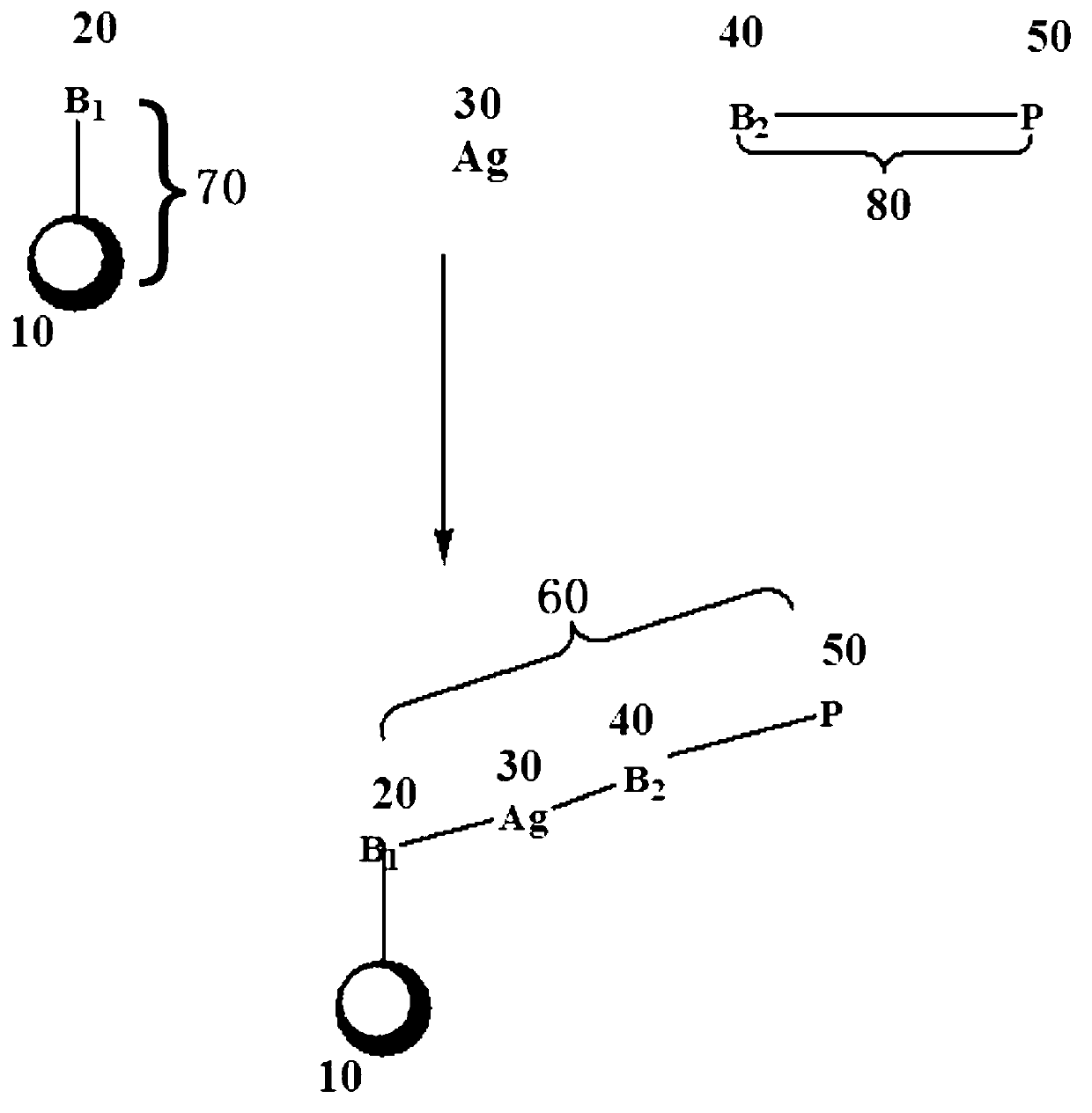 Magnetic binding assays method utilizing time-resolved up-converting luminescence detection