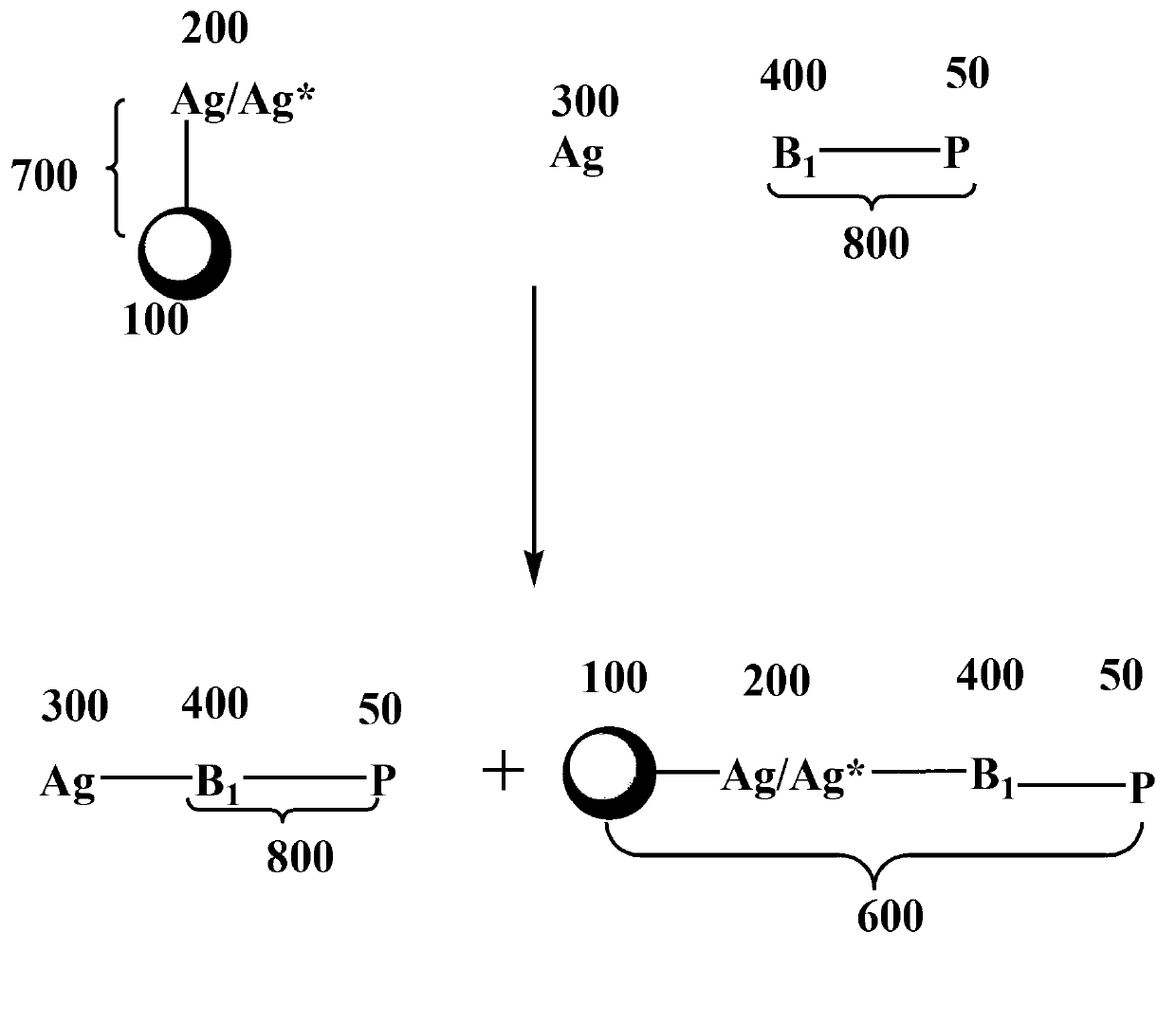 Magnetic binding assays method utilizing time-resolved up-converting luminescence detection