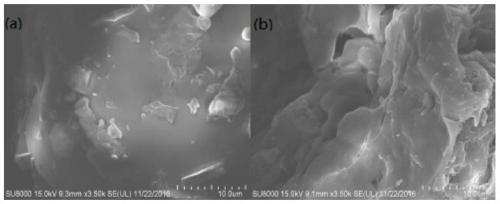 A kind of chitosan/persimmon tannin composite material and its preparation method and application in recycling germanium