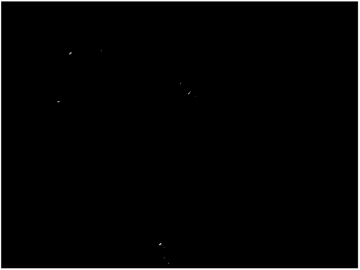 Method for detecting microplastics in organism