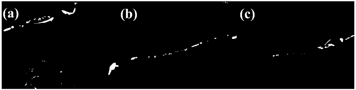 Method for detecting microplastics in organism