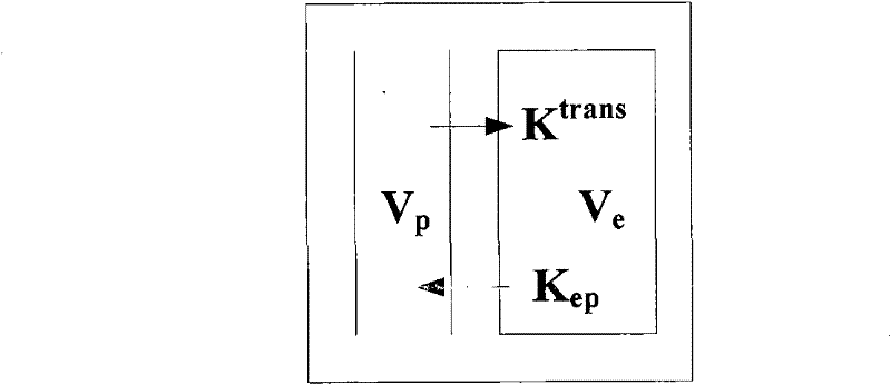 Method and system for calculating quantitative parameter of magnetic resonance imaging