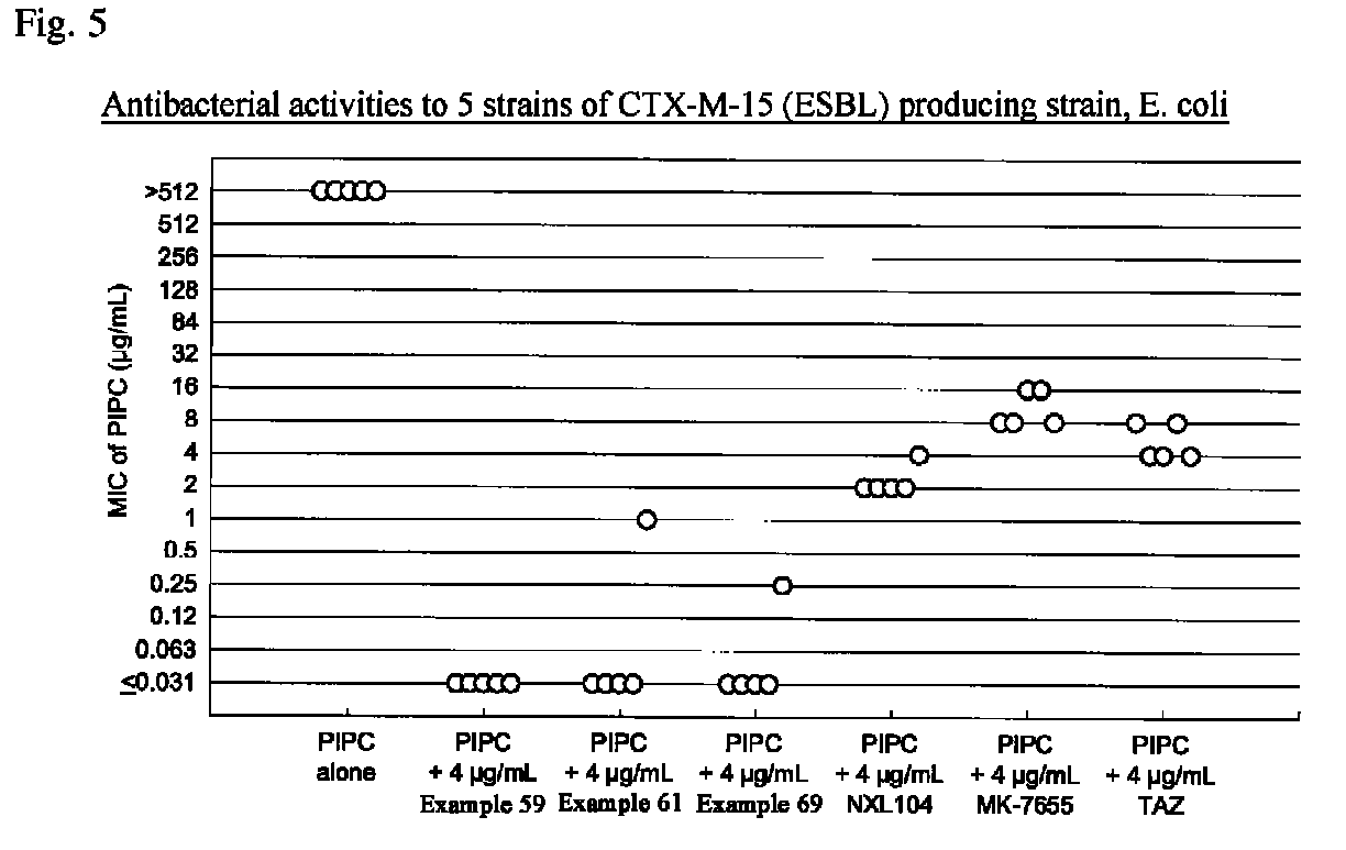 Beta-lactamase inhibitor and process for preparing the same