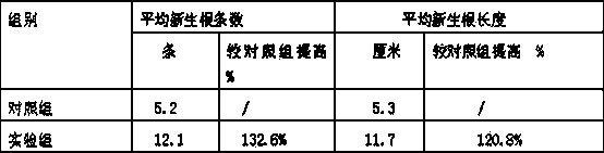 Controlled-release peony transplanting and rooting agent composition