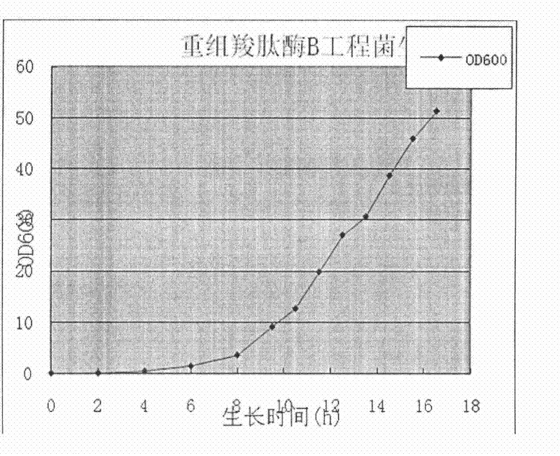 Preparation method of recombinant carboxypeptidase B