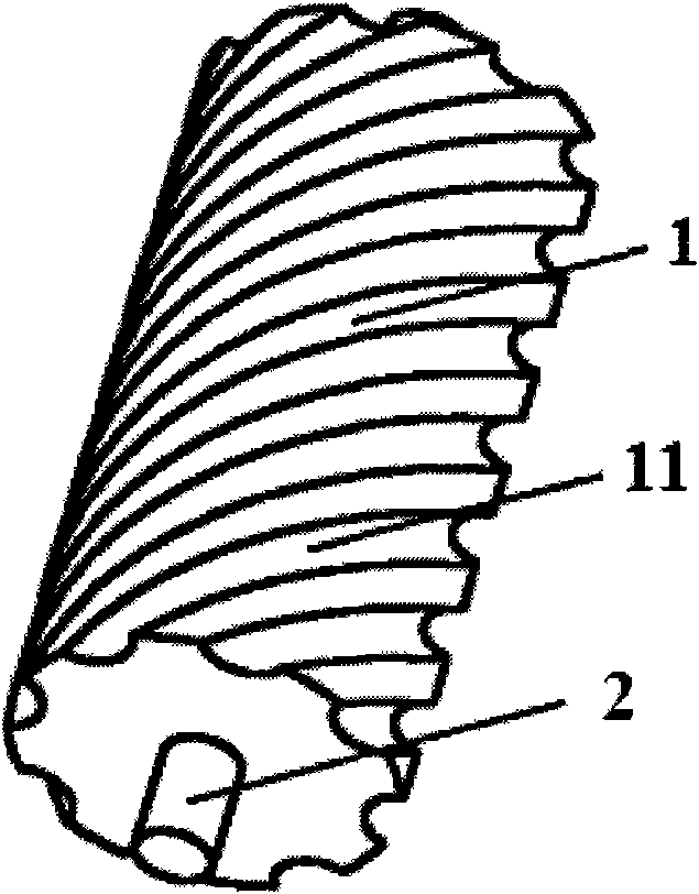 Skeleton cable