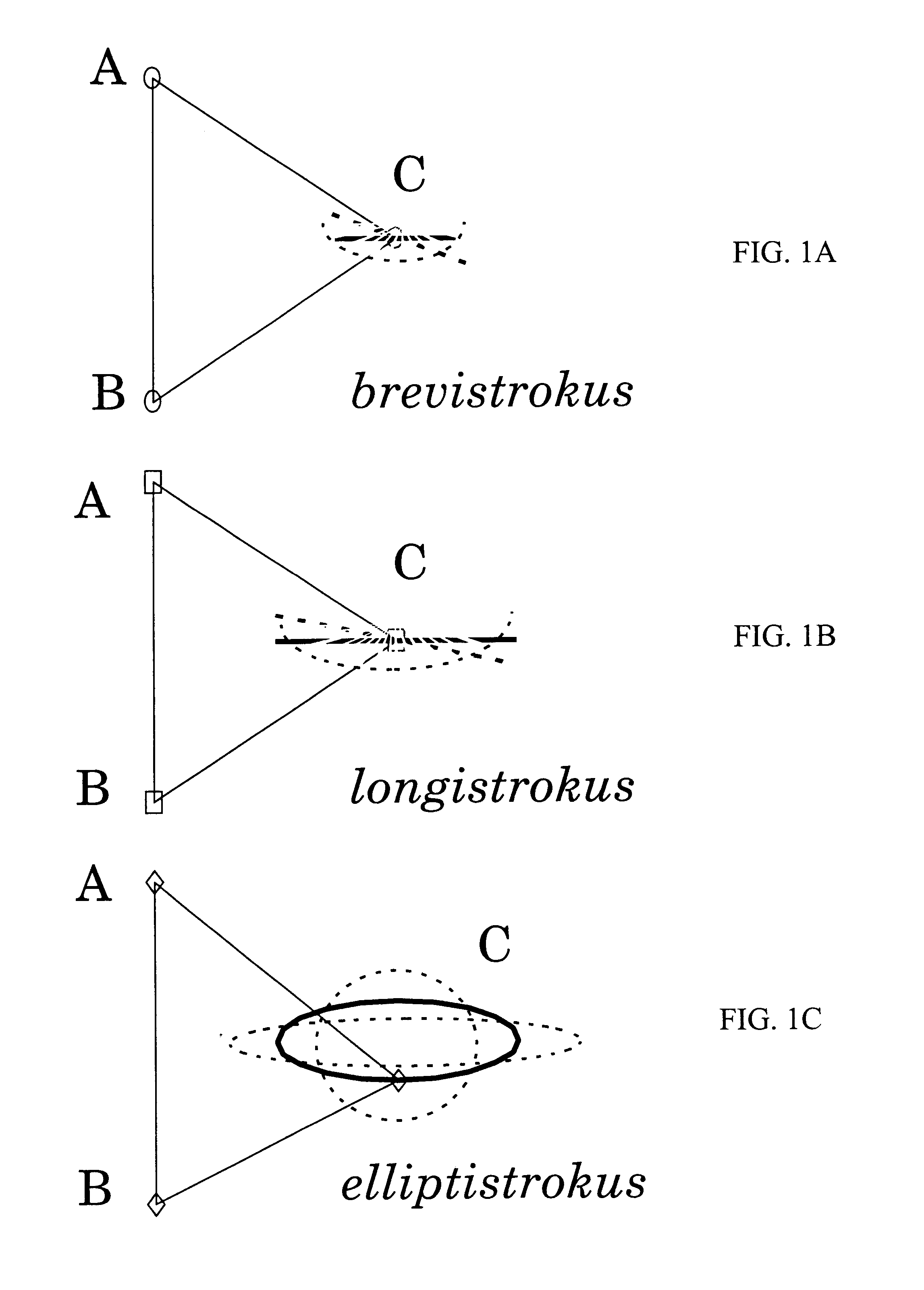 Geometric motion analysis