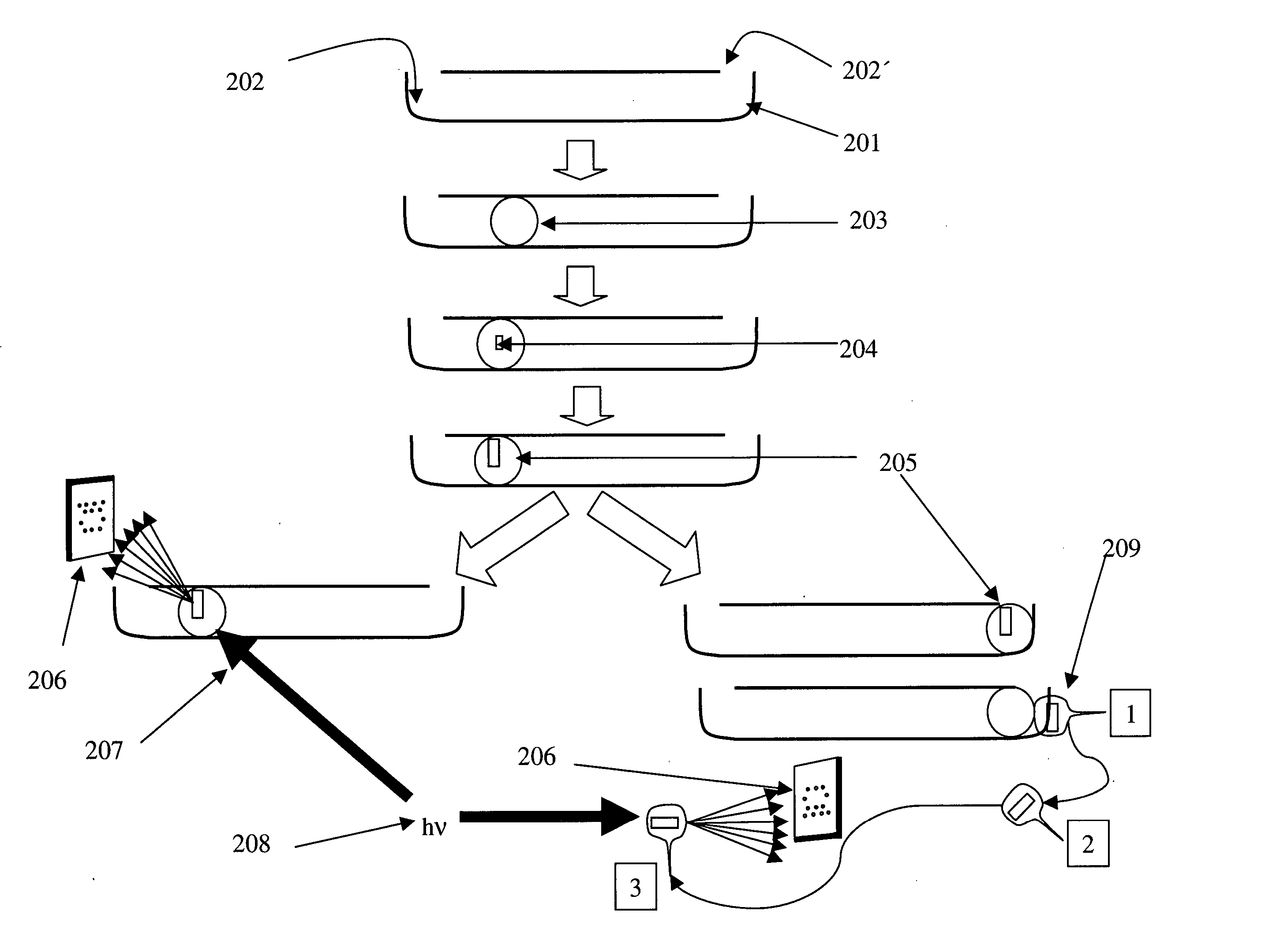 Microfluidic device with diffusion between adjacent lumens