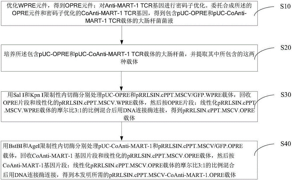 Preparation and application of safety-improved lentiviral vector for expressing codon-optimized Anti-MART-1 TCR gene