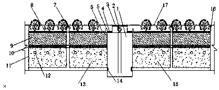 Biological filtration and collection green belt unit for rainwater on both sides of road