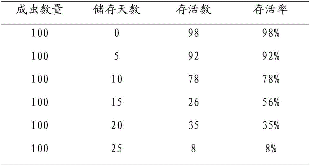 Large-scale feeding and storage method of aphids and predators of aphids