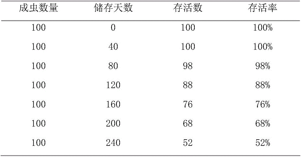 Large-scale feeding and storage method of aphids and predators of aphids