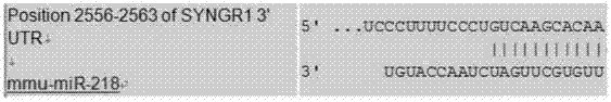 The use of mir‑218‑5p compounds as markers of chronic pain and drugs for the treatment of inflammatory chronic pain