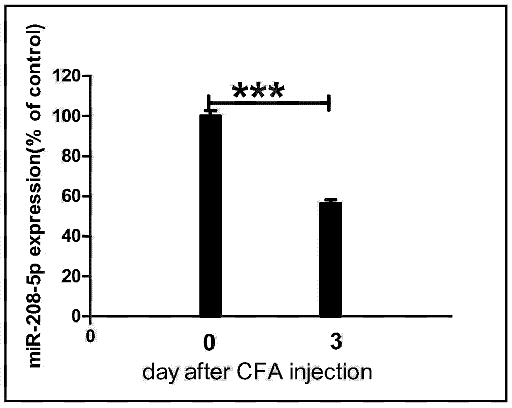 The use of mir‑218‑5p compounds as markers of chronic pain and drugs for the treatment of inflammatory chronic pain