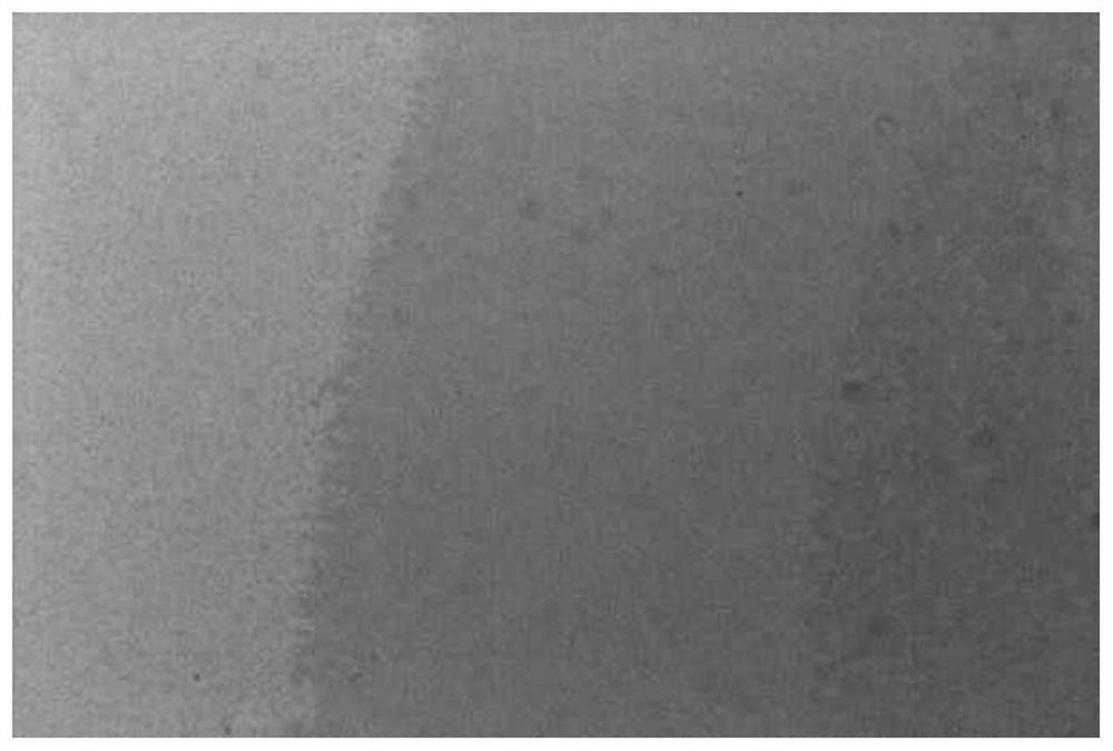 Method for preparing large-area two-dimensional organic semiconductor crystalline film through two-step method