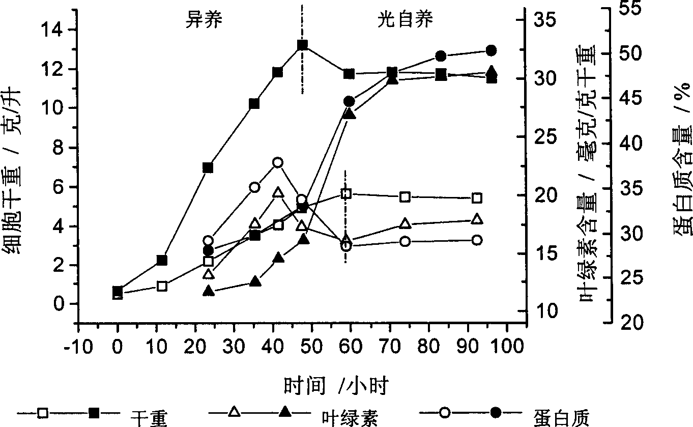 Culture media composition suitable for cultivating high-density high-quality ordinary chlorella