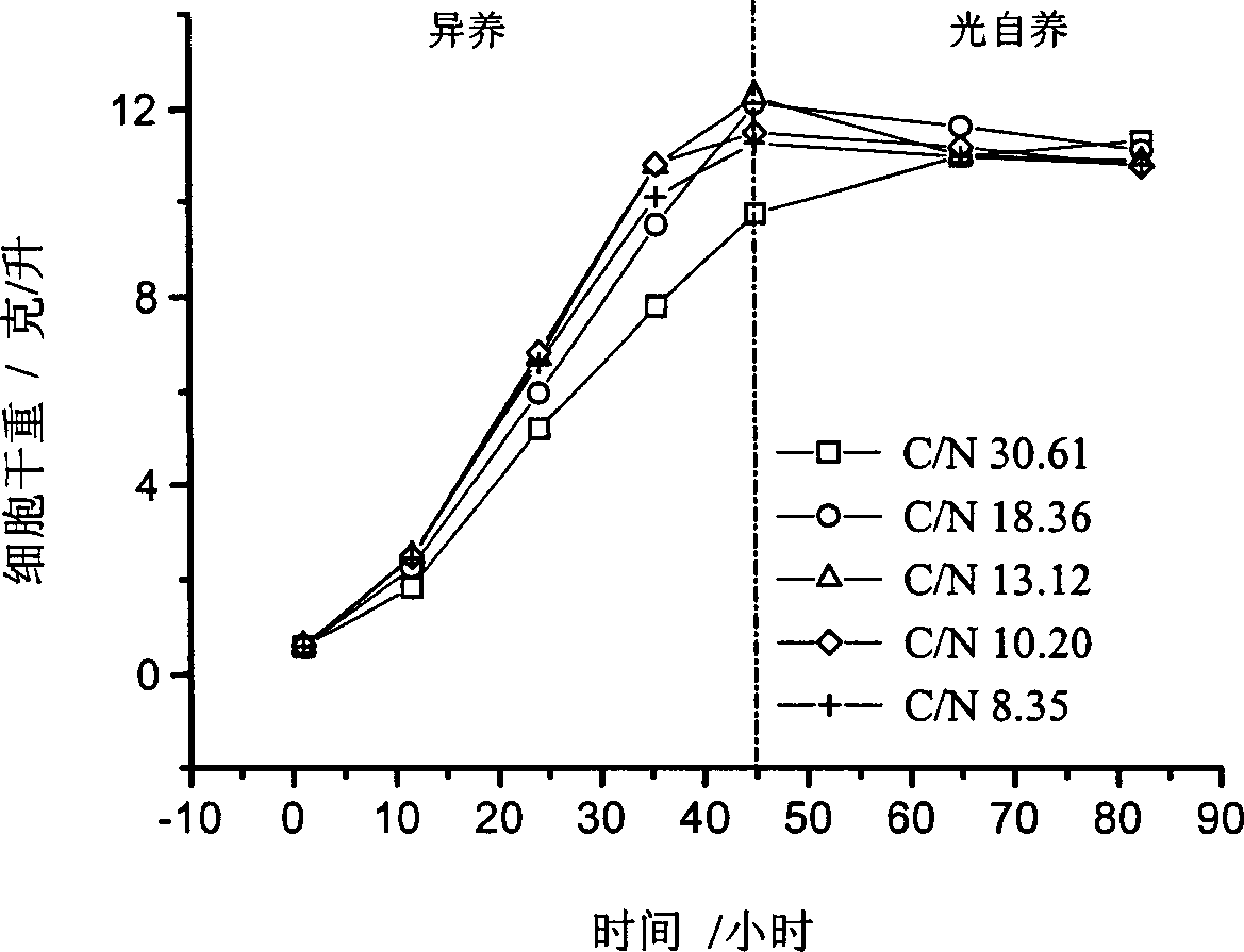 Culture media composition suitable for cultivating high-density high-quality ordinary chlorella