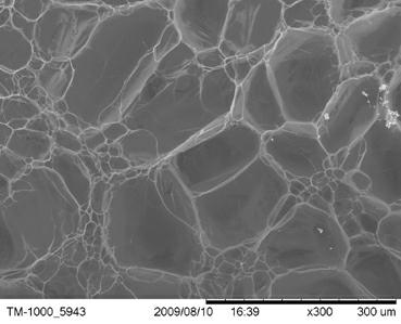 Chitosan polymer and preparation method thereof