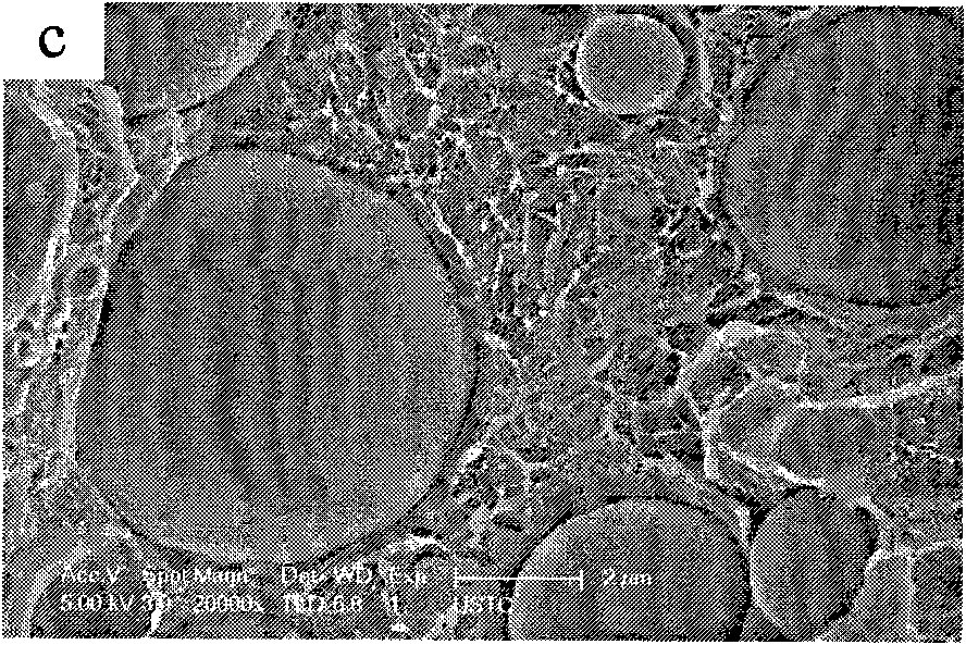 Polyester/polyethylene/carbon nanotube ternary composite material and its preparation method