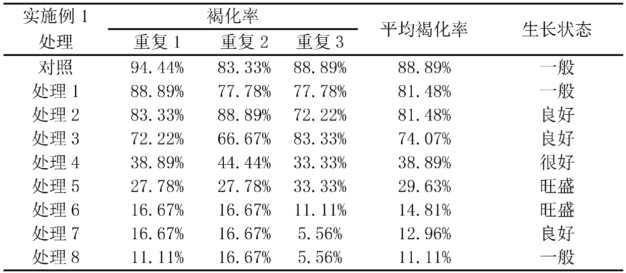 Method capable of preventing browning of stem segments of litsea coreana in tissue culture and culture medium thereof