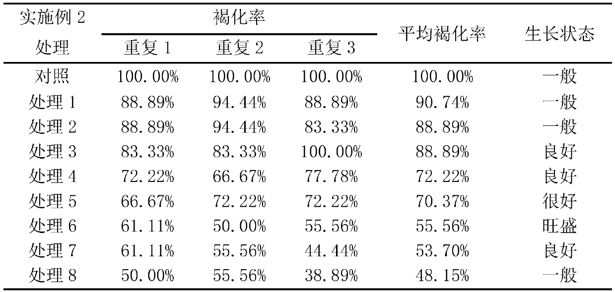 Method capable of preventing browning of stem segments of litsea coreana in tissue culture and culture medium thereof