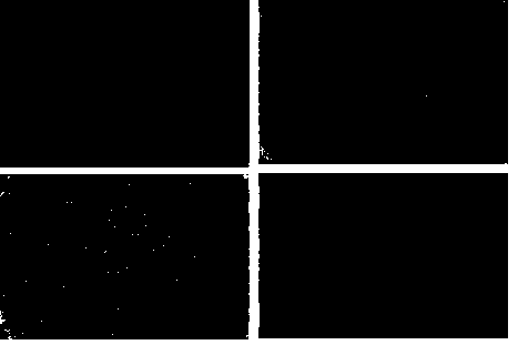 Method for establishing hypothyroidism Wistar rat eye socket model