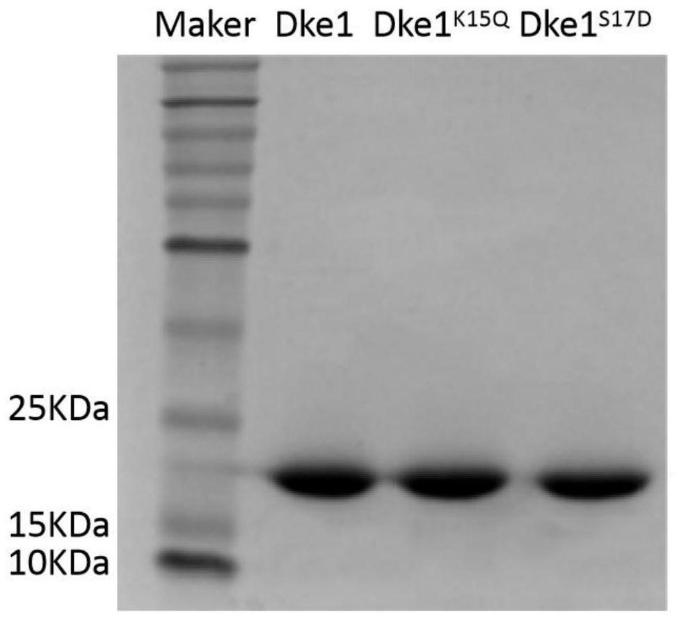 A kind of method that extracellular enzyme reaction generates acetylacetone