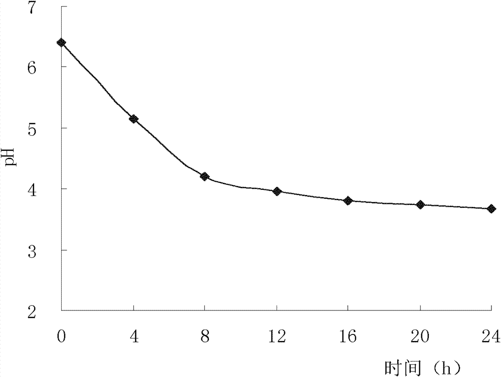 Lactobacillus plant arum ZY-40 and application thereof to preparing fish sausage through fermentation