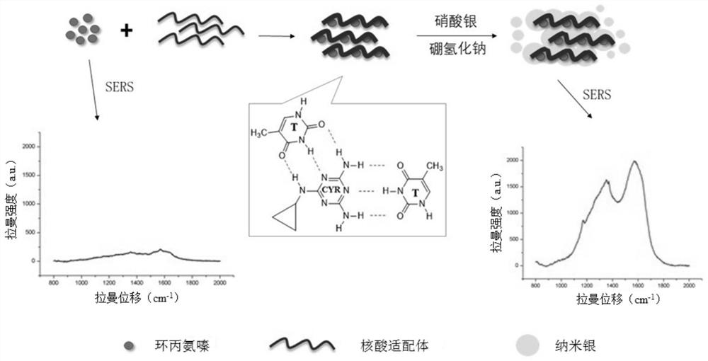 A method for detecting cyromazine in milk based on nucleic acid aptamer