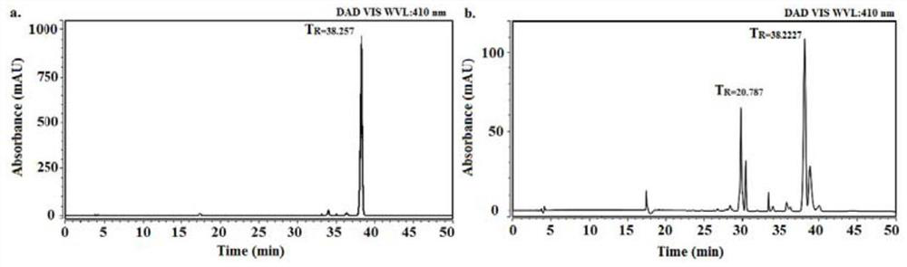 A preparation method of purpurin 18-liposome nanovesicles and its application in the preparation of drugs for treating tumors