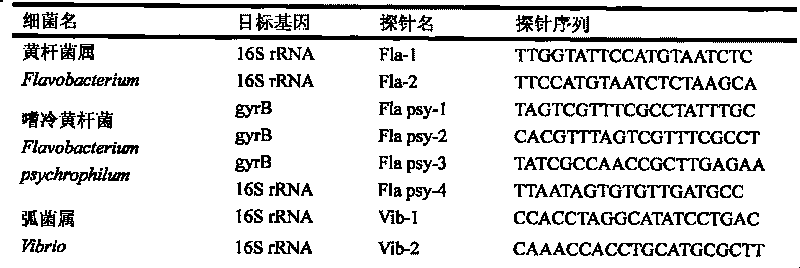 Gene chip of aquatic product cultivation pathogenic bacterium