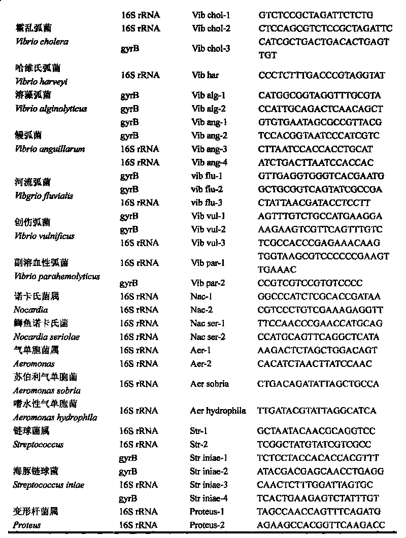 Gene chip of aquatic product cultivation pathogenic bacterium