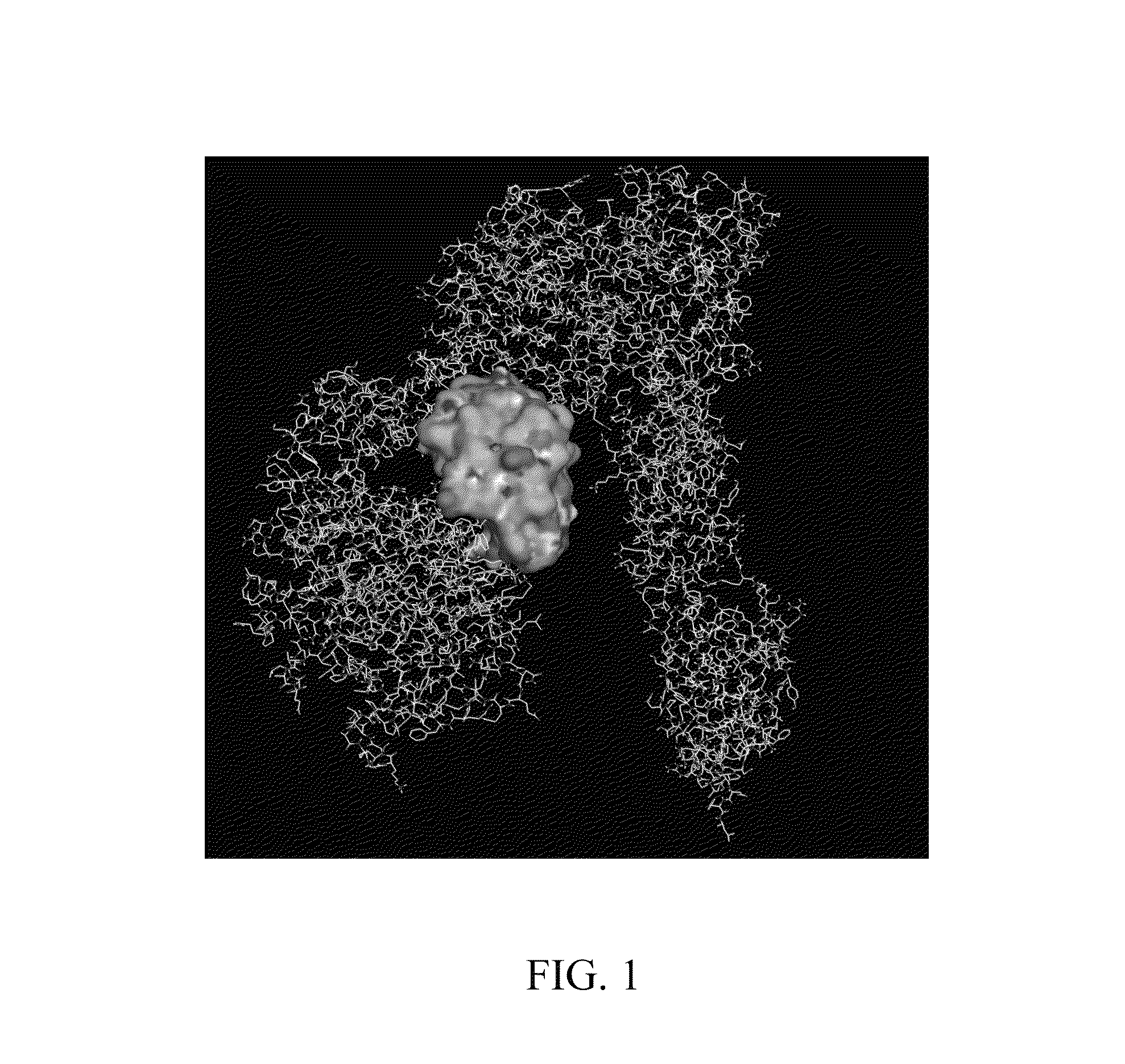 Polypeptides, nucleic acid molecule encoding polypeptides, and uses of polypeptides