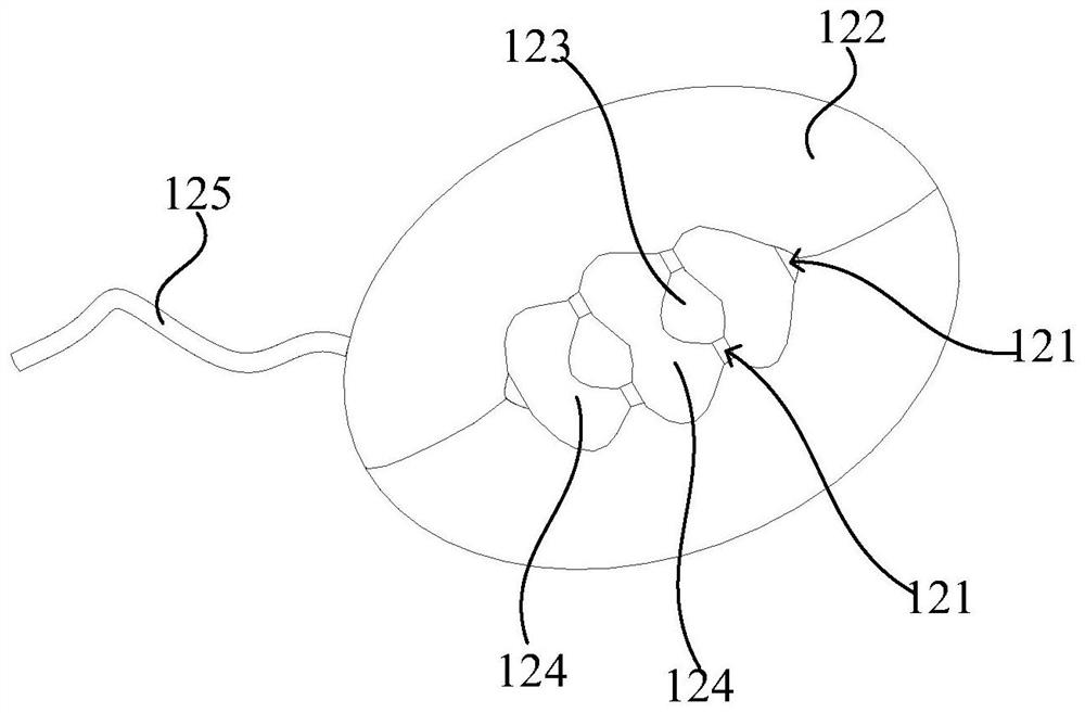 Isolated organ perfusion system and liver storage device